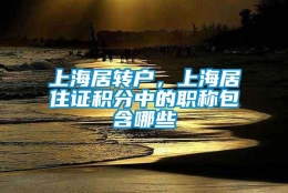 上海居转户，上海居住证积分中的职称包含哪些