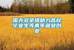 国办多举措助力高校毕业生等青年就业创业