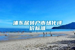 浦东居转户市场化评价标准