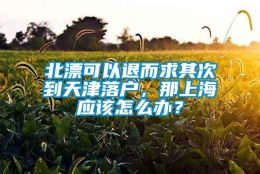 北漂可以退而求其次到天津落户，那上海应该怎么办？