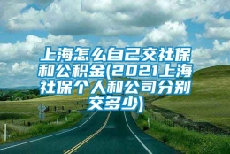 上海怎么自己交社保和公积金(2021上海社保个人和公司分别交多少)