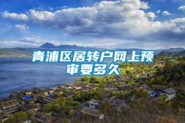 青浦区居转户网上预审要多久