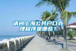 请问上海公共户口办理程序是哪些？