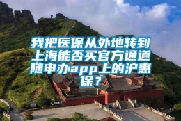 我把医保从外地转到上海能否买官方通道随申办app上的沪惠保？