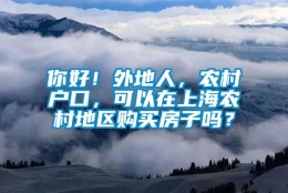 你好！外地人，农村户口，可以在上海农村地区购买房子吗？