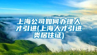 上海公司如何办理人才引进(上海人才引进类居住证)