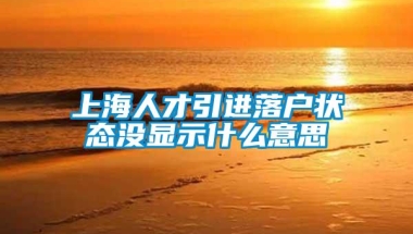 上海人才引进落户状态没显示什么意思