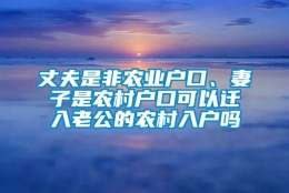 丈夫是非农业户口、妻子是农村户口可以迁入老公的农村入户吗