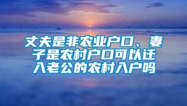 丈夫是非农业户口、妻子是农村户口可以迁入老公的农村入户吗