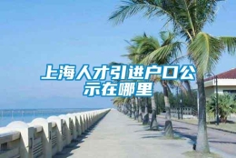 上海人才引进户口公示在哪里