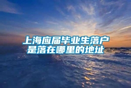 上海应届毕业生落户是落在哪里的地址