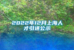 2022年12月上海人才引进公示