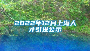 2022年12月上海人才引进公示