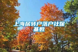 上海居转户落户社保基数