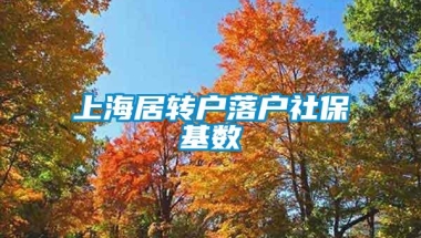 上海居转户落户社保基数