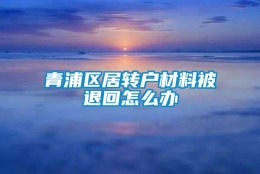 青浦区居转户材料被退回怎么办