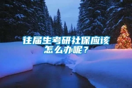 往届生考研社保应该怎么办呢？