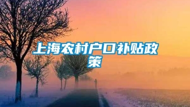 上海农村户口补贴政策