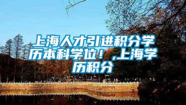 上海人才引进积分学历本科学位！,上海学历积分