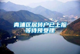 青浦区居转户已上报等待预受理