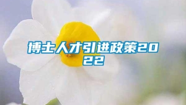 博士人才引进政策2022