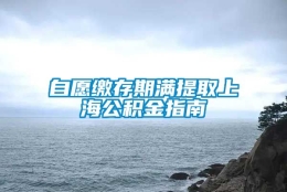 自愿缴存期满提取上海公积金指南