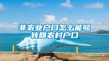 非农业户口怎么能够转回农村户口