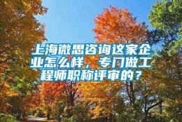 上海微思咨询这家企业怎么样，专门做工程师职称评审的？