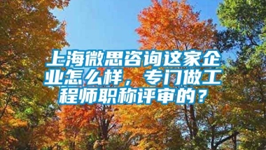 上海微思咨询这家企业怎么样，专门做工程师职称评审的？