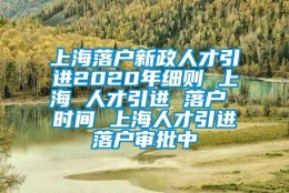 上海落户新政人才引进2020年细则 上海 人才引进 落户 时间 上海人才引进落户审批中