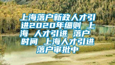 上海落户新政人才引进2020年细则 上海 人才引进 落户 时间 上海人才引进落户审批中