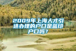 2009年上海人才引进办理的户口是蓝印户口吗？