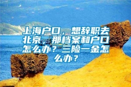 上海户口，想辞职去北京，那档案和户口怎么办？三险一金怎么办？