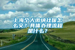 上海个人缴纳社保怎么交？具体办理流程是什么？