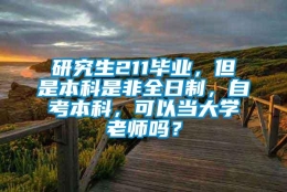 研究生211毕业，但是本科是非全日制，自考本科，可以当大学老师吗？