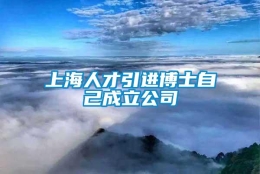 上海人才引进博士自己成立公司