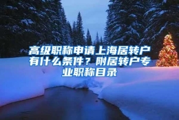 高级职称申请上海居转户有什么条件？附居转户专业职称目录