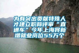 为有突出贡献特殊人才建立职称评审“直通车”今年上海将新增就业岗位55万个