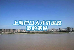 上海户口人才引进政策的条件