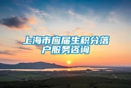 上海市应届生积分落户服务咨询