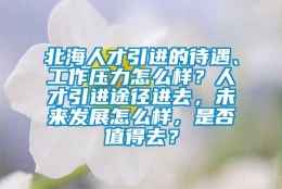 北海人才引进的待遇、工作压力怎么样？人才引进途径进去，未来发展怎么样，是否值得去？