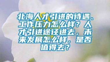 北海人才引进的待遇、工作压力怎么样？人才引进途径进去，未来发展怎么样，是否值得去？