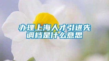 办理上海人才引进先调档是什么意思