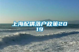 上海配偶落户政策2019