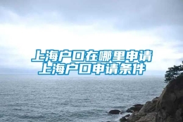 上海户口在哪里申请上海户口申请条件