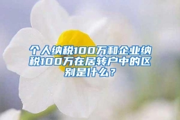 个人纳税100万和企业纳税100万在居转户中的区别是什么？