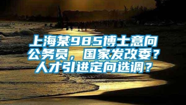 上海某985博士意向公务员，国家发改委？人才引进定向选调？