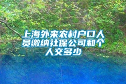 上海外来农村户口人员缴纳社保公司和个人交多少