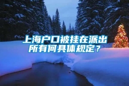 上海户口被挂在派出所有何具体规定？