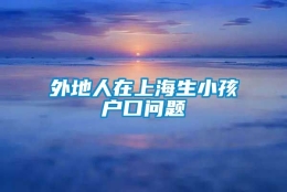 外地人在上海生小孩户口问题